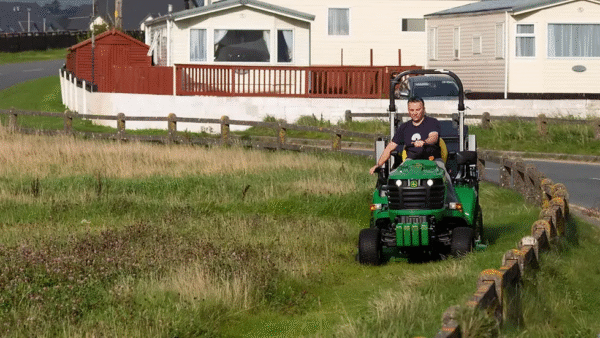 Our Meadow and Wildflower Projects